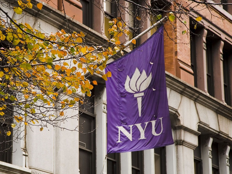 American Language Institute (New York University)