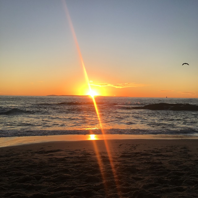 アメリカ　体験談