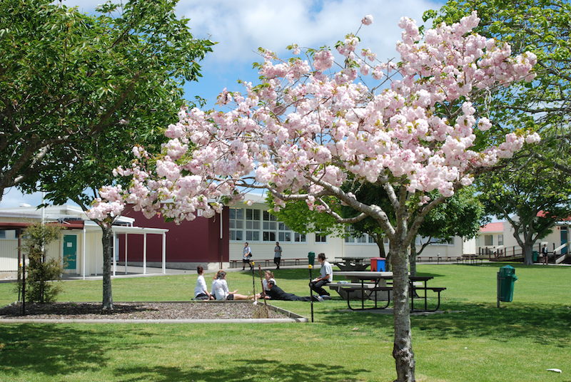 Waiuku College